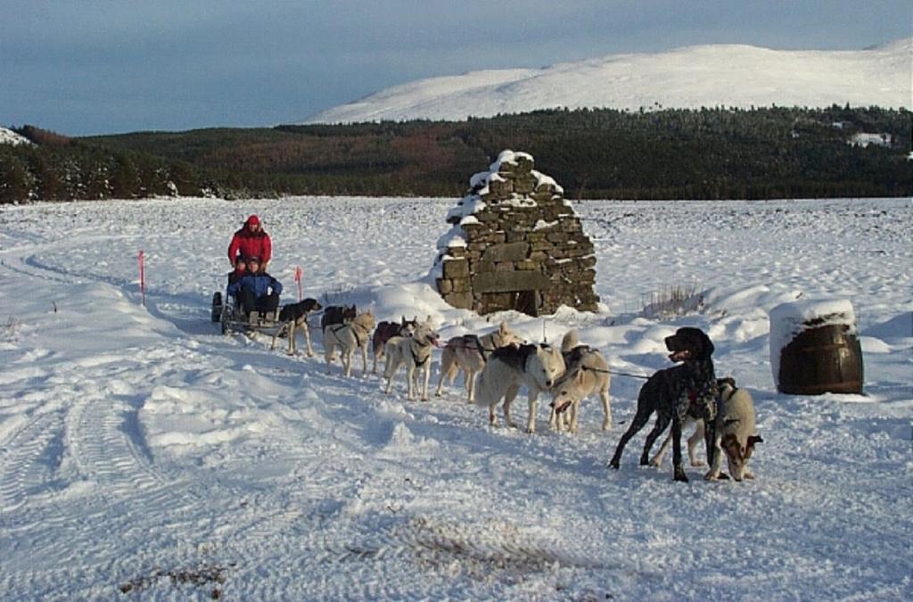 Macdonald Aviemore Hotel At Macdonald Aviemore Resort Buitenkant foto
